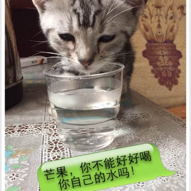 哪里能办假中国银行流水单
